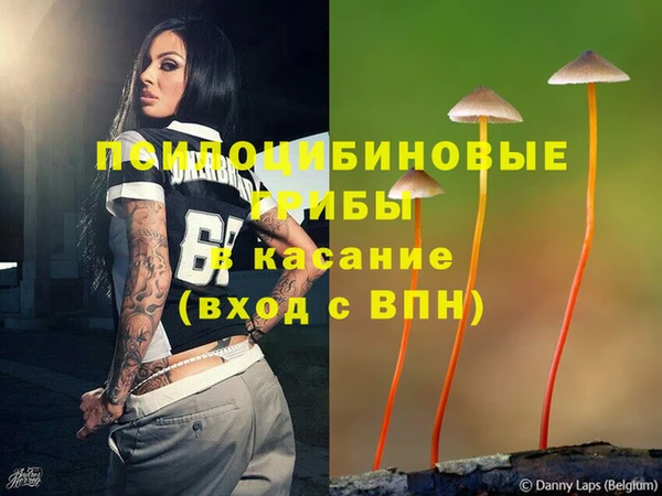 каннабис Алзамай